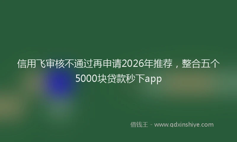 信用飞审核不通过再申请2026年推荐，整合五个5000块贷款秒下app