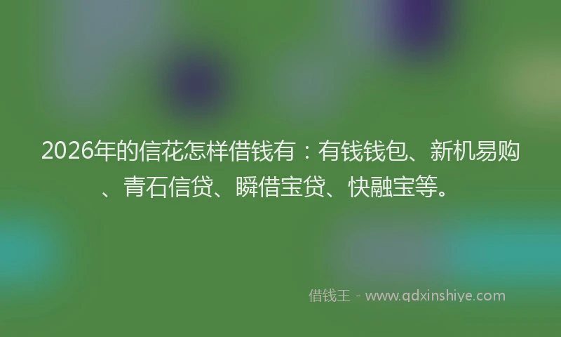 2026年的信花怎样借钱有:有钱钱包、新机易购、青石信贷、瞬借宝贷、快融宝等。