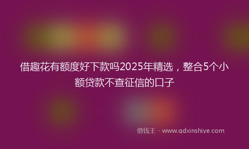 借趣花有额度好下款吗2025年精选，整合5个小额贷款不查征信的口子