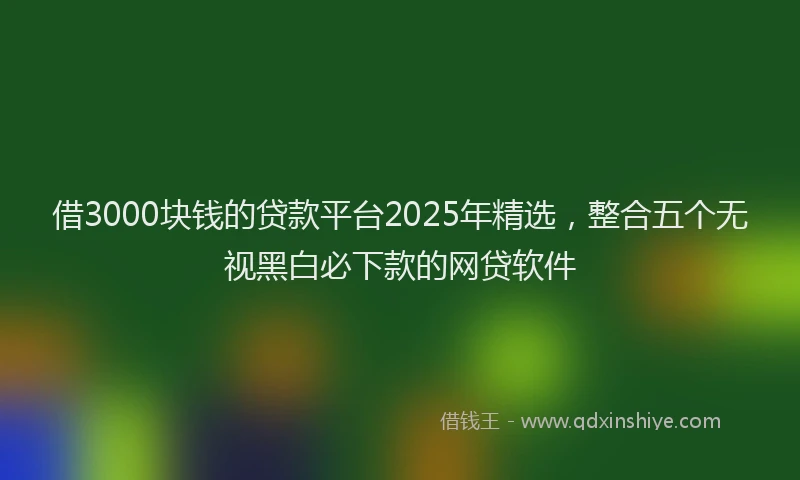 借3000块钱的贷款平台2025年精选，整合五个无视黑白必下款的网贷软件