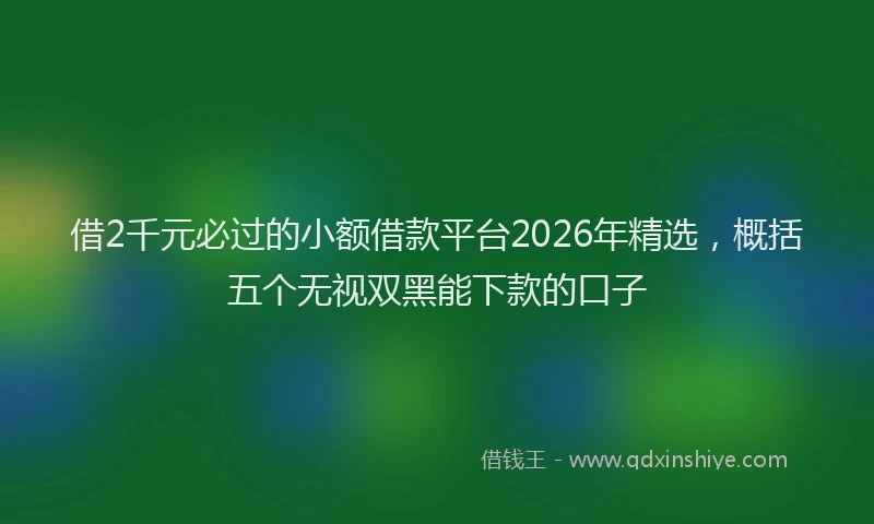 借2千元必过的小额借款平台2026年精选,概括五个无视双黑能下款的口子