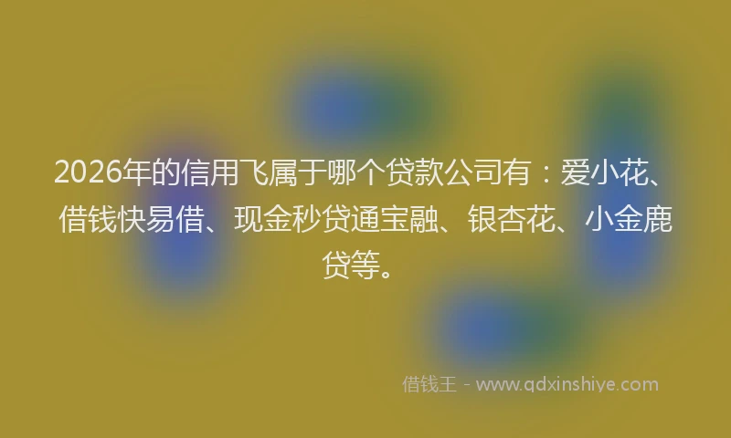 2026年的信用飞属于哪个贷款公司有：爱小花、借钱快易借、现金秒贷通宝融、银杏花、小金鹿贷等。