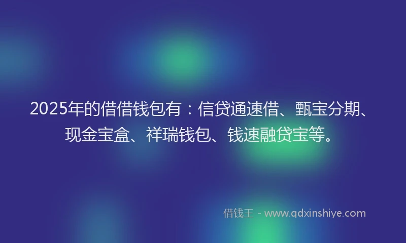 2025年的借借钱包有:信贷通速借、甄宝分期、现金宝盒、祥瑞钱包、钱速融贷宝等。
