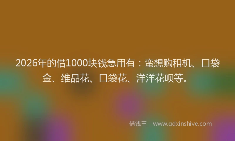 2026年的借1000块钱急用有：蛮想购租机、口袋金、维品花、口袋花、洋洋花呗等。