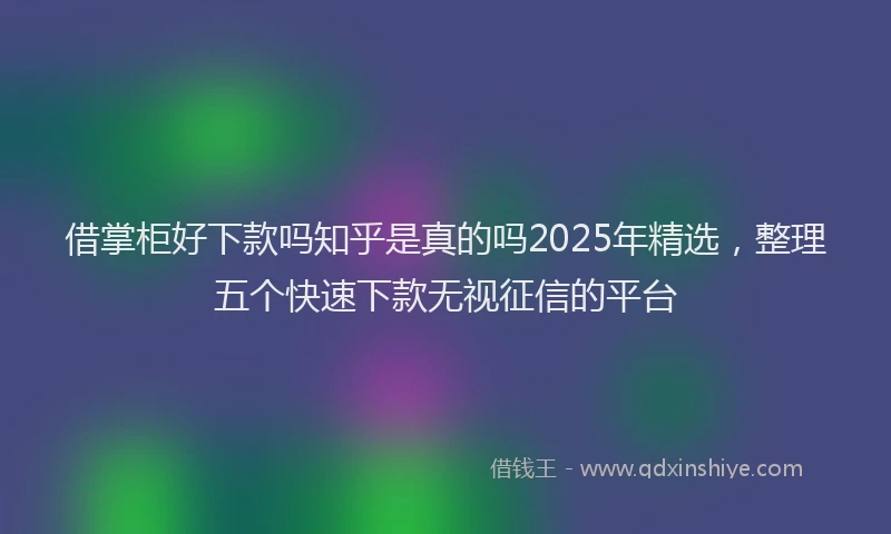 借掌柜好下款吗知乎是真的吗2025年精选,整理五个快速下款无视征信的平台