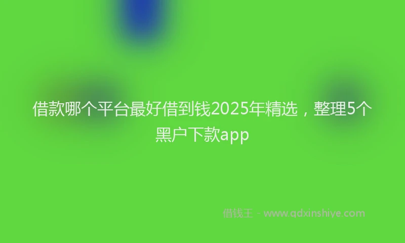 借款哪个平台最好借到钱2025年精选,整理5个黑户下款app