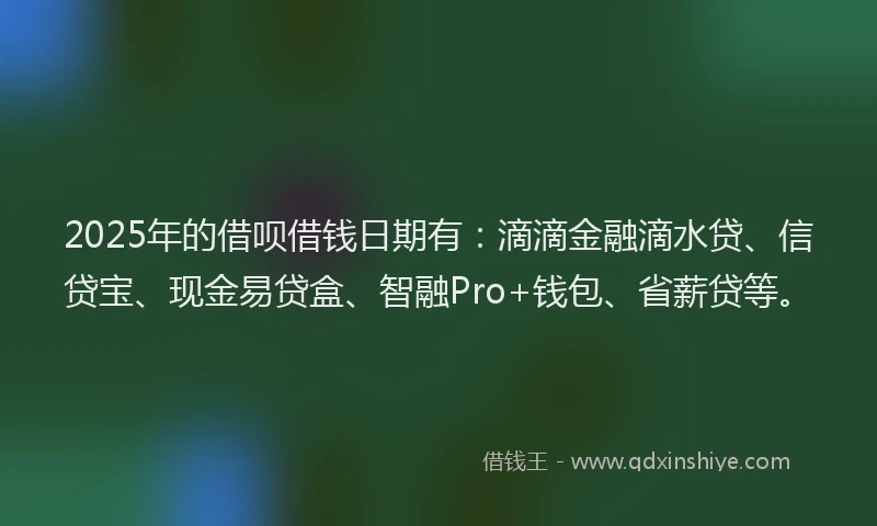 2025年的借呗借钱日期有：滴滴金融滴水贷、信贷宝、现金易贷盒、智融Pro+钱包、省薪贷等。