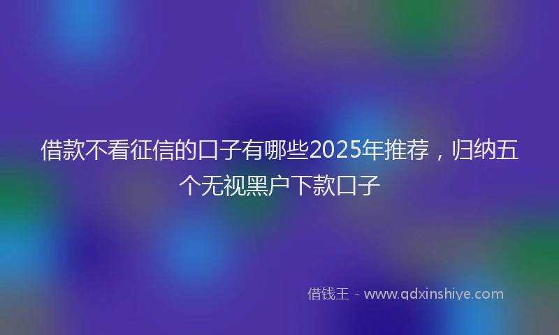 借款不看征信的口子有哪些2025年推荐,归纳五个无视黑户下款口子