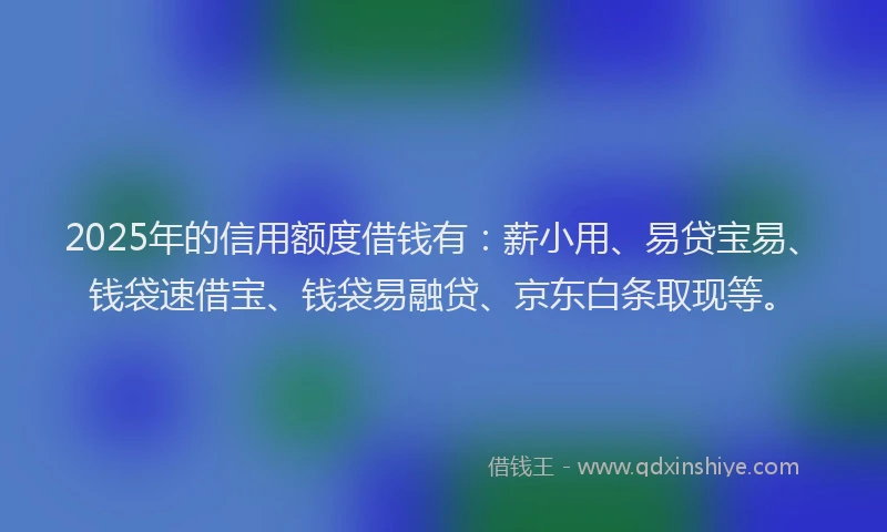 2025年的信用额度借钱有:薪小用、易贷宝易、钱袋速借宝、钱袋易融贷、京东白条取现等。