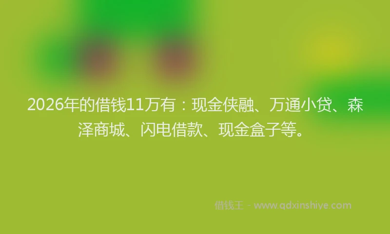 2026年的借钱11万有:现金侠融、万通小贷、森泽商城、闪电借款、现金盒子等。
