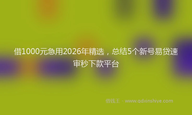 借1000元急用2026年精选，总结5个新号易贷速审秒下款平台
