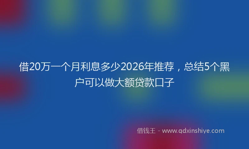 借20万一个月利息多少2026年推荐,总结5个黑户可以做大额贷款口子