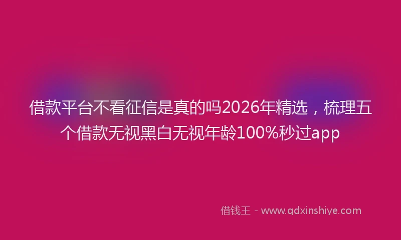 借款平台不看征信是真的吗2026年精选，梳理五个借款无视黑白无视年龄100%秒过app