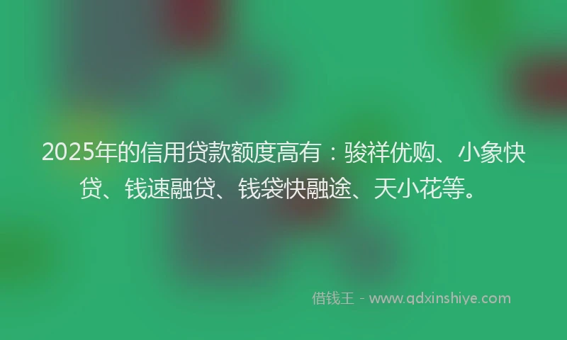 2025年的信用贷款额度高有:骏祥优购、小象快贷、钱速融贷、钱袋快融途、天小花等。
