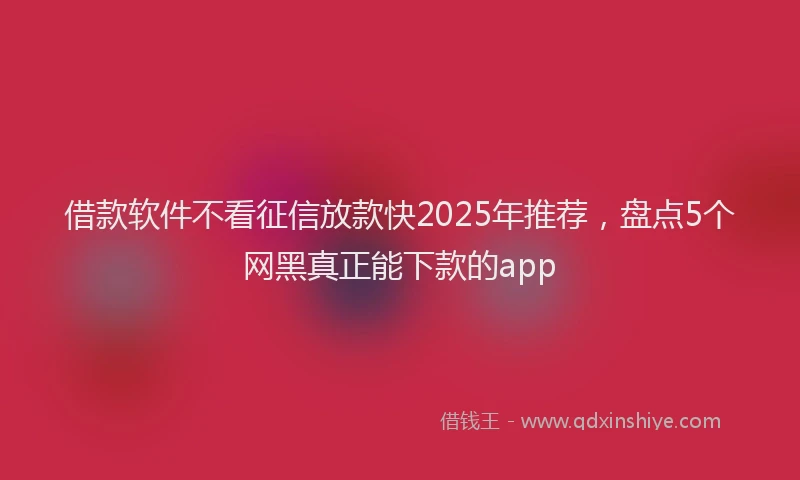 借款软件不看征信放款快2025年推荐，盘点5个网黑真正能下款的app