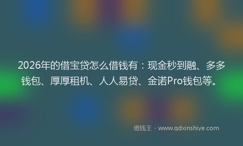2026年的借宝贷怎么借钱有：现金秒到融、多多钱包、厚厚租机、人人易贷、金诺Pro钱包等。