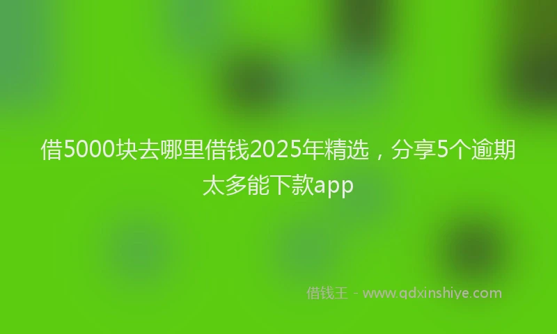 借5000块去哪里借钱2025年精选，分享5个逾期太多能下款app