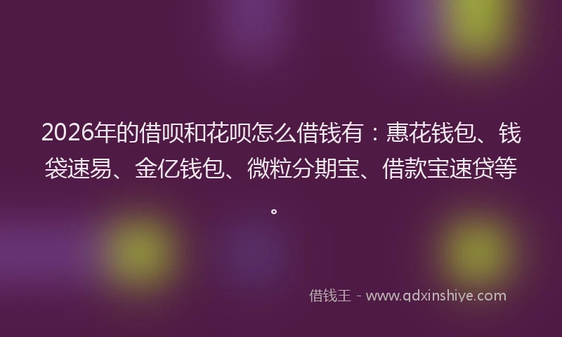 2026年的借呗和花呗怎么借钱有:惠花钱包、钱袋速易、金亿钱包、微粒分期宝、借款宝速贷等。