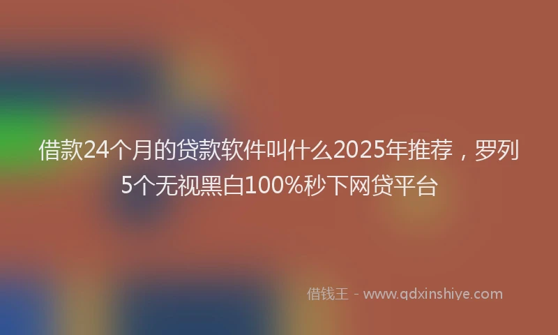 借款24个月的贷款软件叫什么2025年推荐,罗列5个无视黑白100%秒下网贷平台