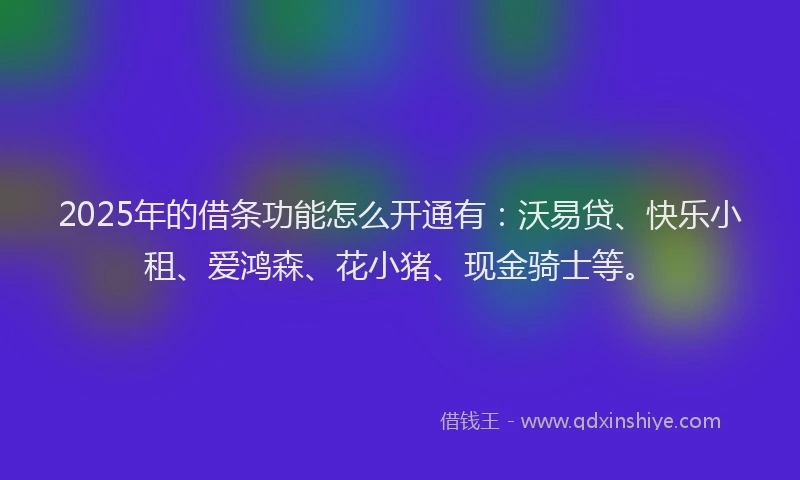 2025年的借条功能怎么开通有：沃易贷、快乐小租、爱鸿森、花小猪、现金骑士等。