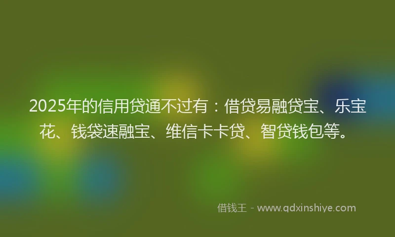 2025年的信用贷通不过有：借贷易融贷宝、乐宝花、钱袋速融宝、维信卡卡贷、智贷钱包等。