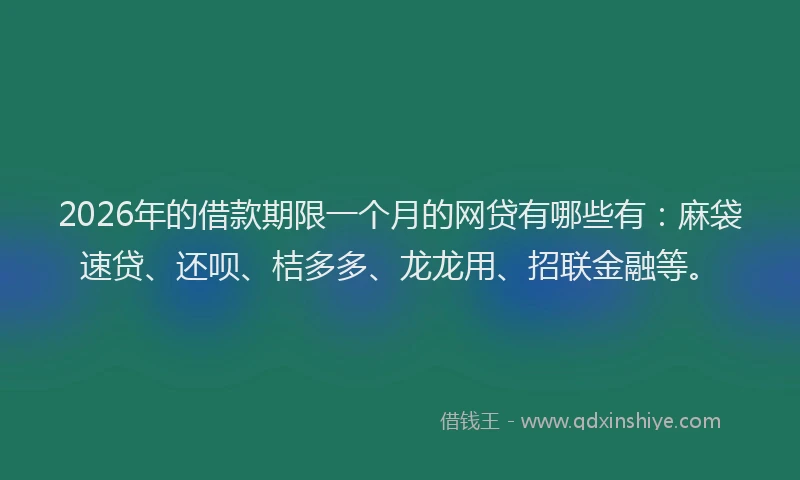 2026年的借款期限一个月的网贷有哪些有：麻袋速贷、还呗、桔多多、龙龙用、招联金融等。