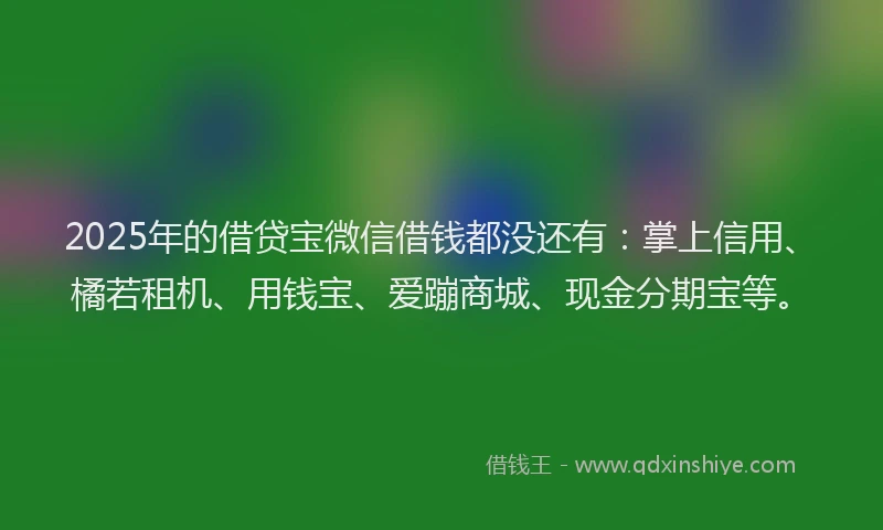 2025年的借贷宝微信借钱都没还有：掌上信用、橘若租机、用钱宝、爱蹦商城、现金分期宝等。
