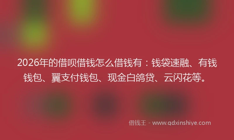 2026年的借呗借钱怎么借钱有：钱袋速融、有钱钱包、翼支付钱包、现金白鸽贷、云闪花等。