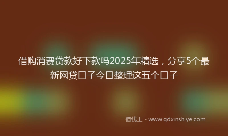 借购消费贷款好下款吗2025年精选,分享5个最新网贷口子今日整理这五个口子