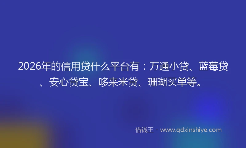 2026年的信用贷什么平台有：万通小贷、蓝莓贷、安心贷宝、哆来米贷、珊瑚买单等。