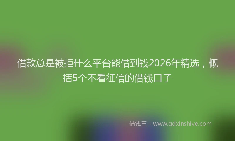 借款总是被拒什么平台能借到钱2026年精选，概括5个不看征信的借钱口子