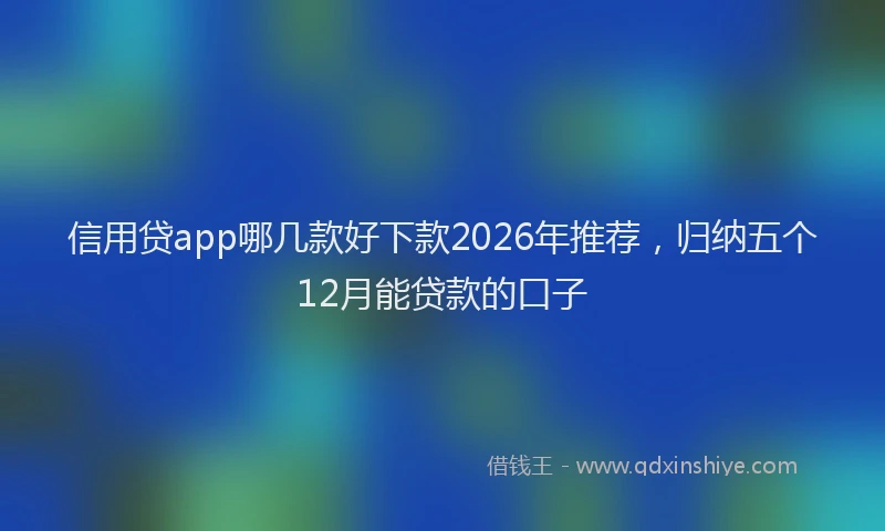 信用贷app哪几款好下款2026年推荐，归纳五个12月能贷款的口子