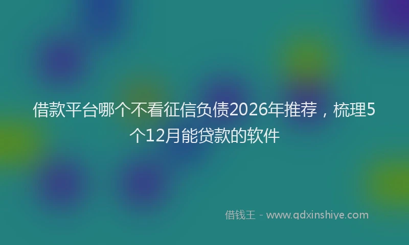 借款平台哪个不看征信负债2026年推荐，梳理5个12月能贷款的软件