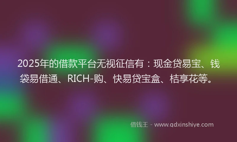 2025年的借款平台无视征信有:现金贷易宝、钱袋易借通、RICH-购、快易贷宝盒、桔享花等。