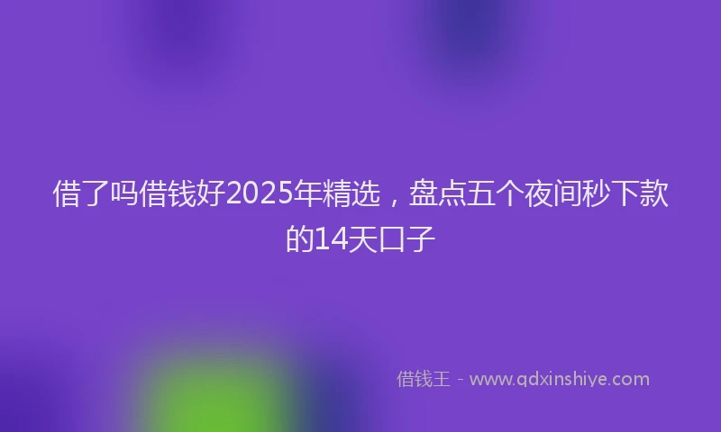 借了吗借钱好2025年精选,盘点五个夜间秒下款的14天口子