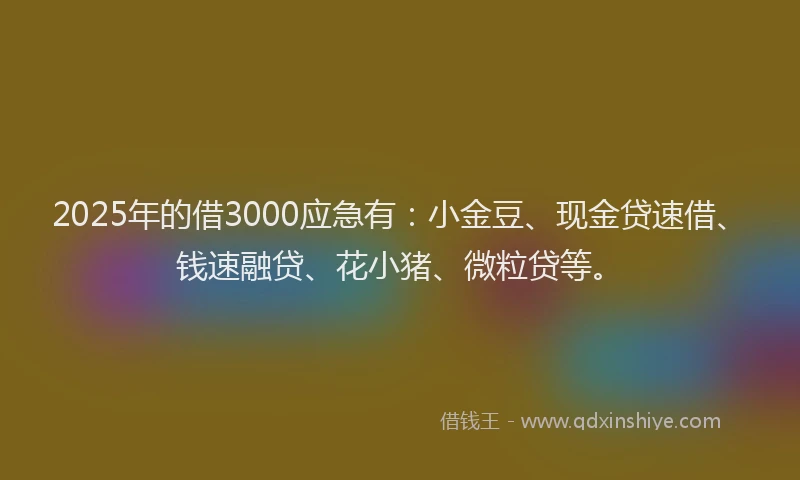 2025年的借3000应急有:小金豆、现金贷速借、钱速融贷、花小猪、微粒贷等。