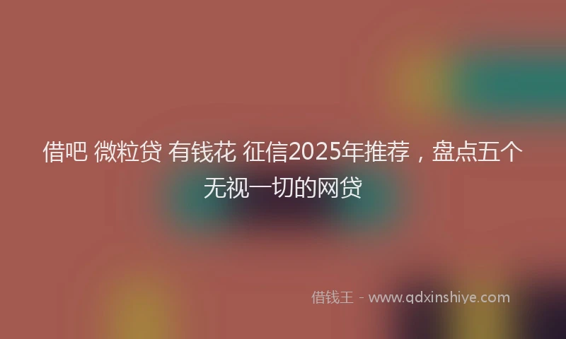 借吧 微粒贷 有钱花 征信2025年推荐，盘点五个无视一切的网贷