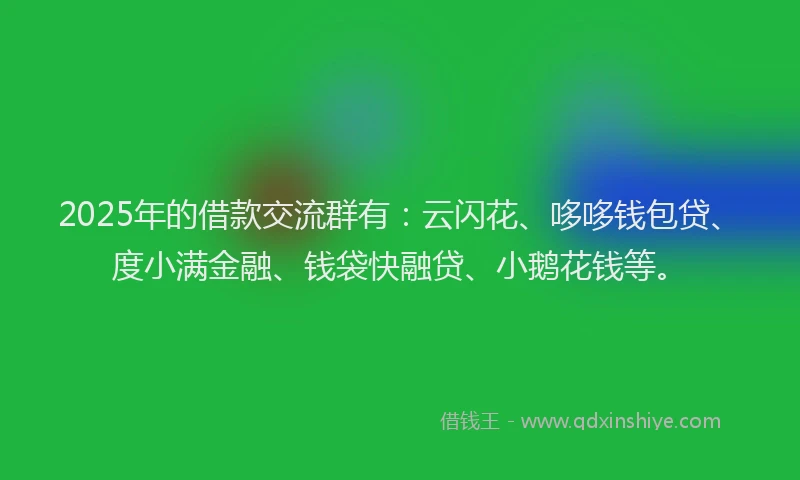 2025年的借款交流群有:云闪花、哆哆钱包贷、度小满金融、钱袋快融贷、小鹅花钱等。