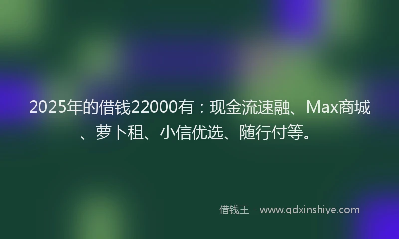 2025年的借钱22000有：现金流速融、Max商城、萝卜租、小信优选、随行付等。