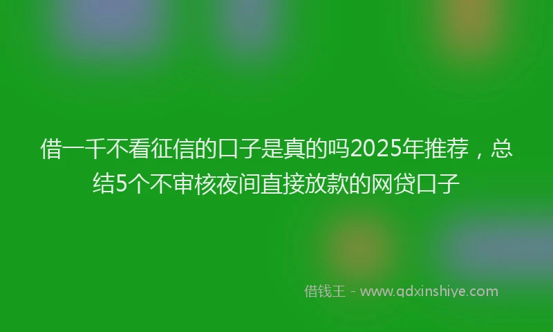 借一千不看征信的口子是真的吗2025年推荐，总结5个不审核夜间直接放款的网贷口子