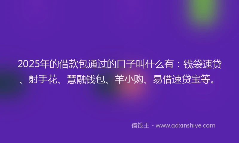 2025年的借款包通过的口子叫什么有：钱袋速贷、射手花、慧融钱包、羊小购、易借速贷宝等。