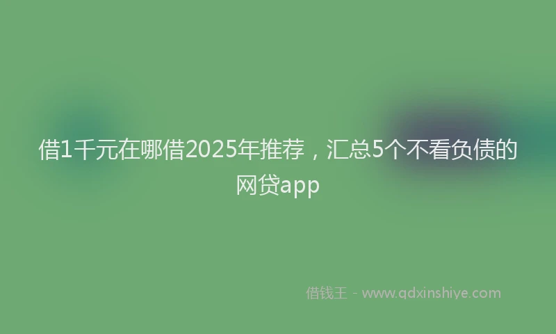 借1千元在哪借2025年推荐，汇总5个不看负债的网贷app
