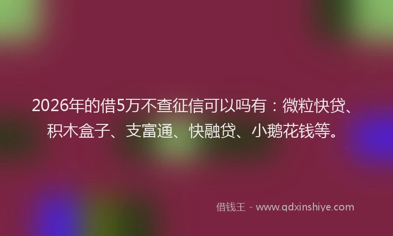 2026年的借5万不查征信可以吗有：微粒快贷、积木盒子、支富通、快融贷、小鹅花钱等。