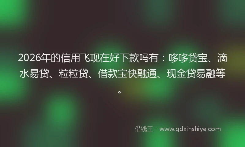 2026年的信用飞现在好下款吗有:哆哆贷宝、滴水易贷、粒粒贷、借款宝快融通、现金贷易融等。