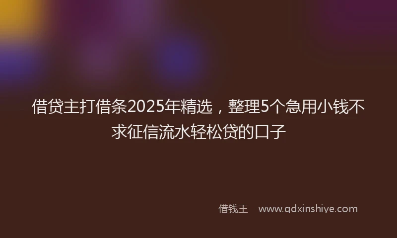 借贷主打借条2025年精选，整理5个急用小钱不求征信流水轻松贷的口子