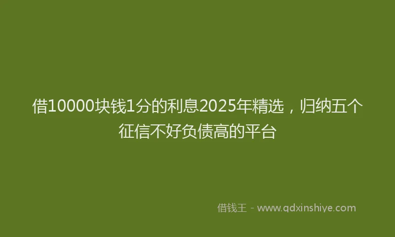 借10000块钱1分的利息2025年精选，归纳五个征信不好负债高的平台