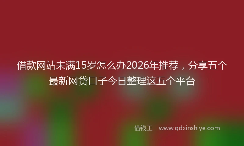 借款网站未满15岁怎么办2026年推荐,分享五个最新网贷口子今日整理这五个平台