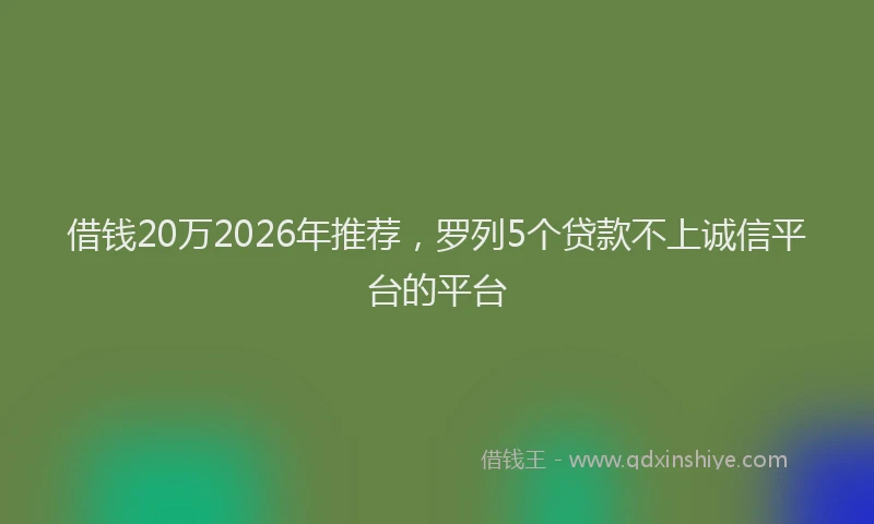借钱20万2026年推荐,罗列5个贷款不上诚信平台的平台