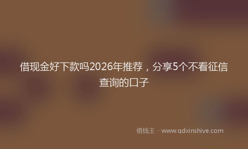 借现金好下款吗2026年推荐，分享5个不看征信查询的口子