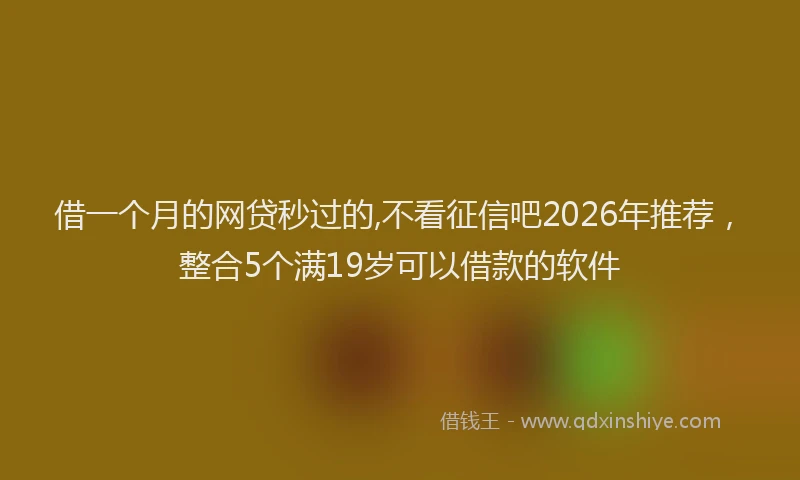 借一个月的网贷秒过的,不看征信吧2026年推荐，整合5个满19岁可以借款的软件